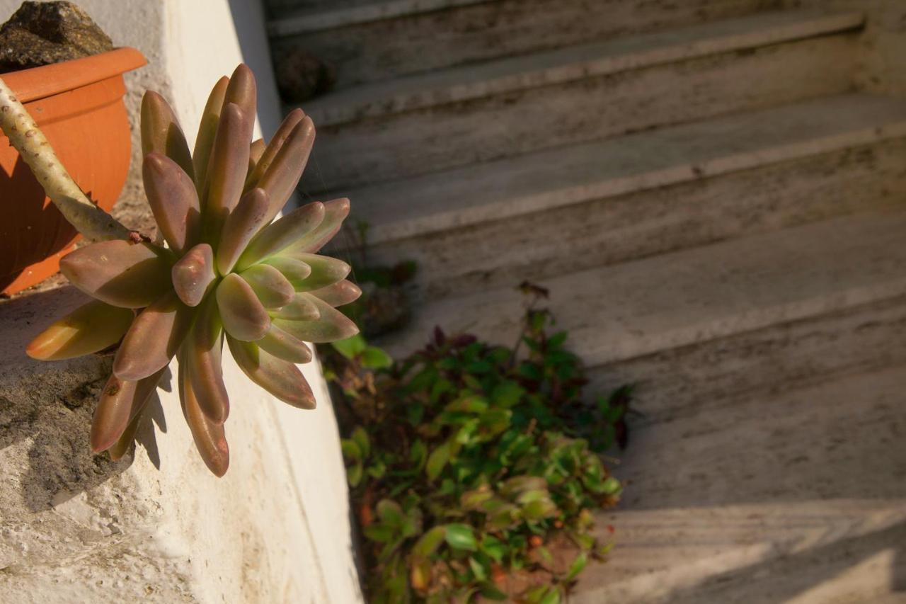 Villino Erminia - Seaside Art B&B Pizzo  Dış mekan fotoğraf